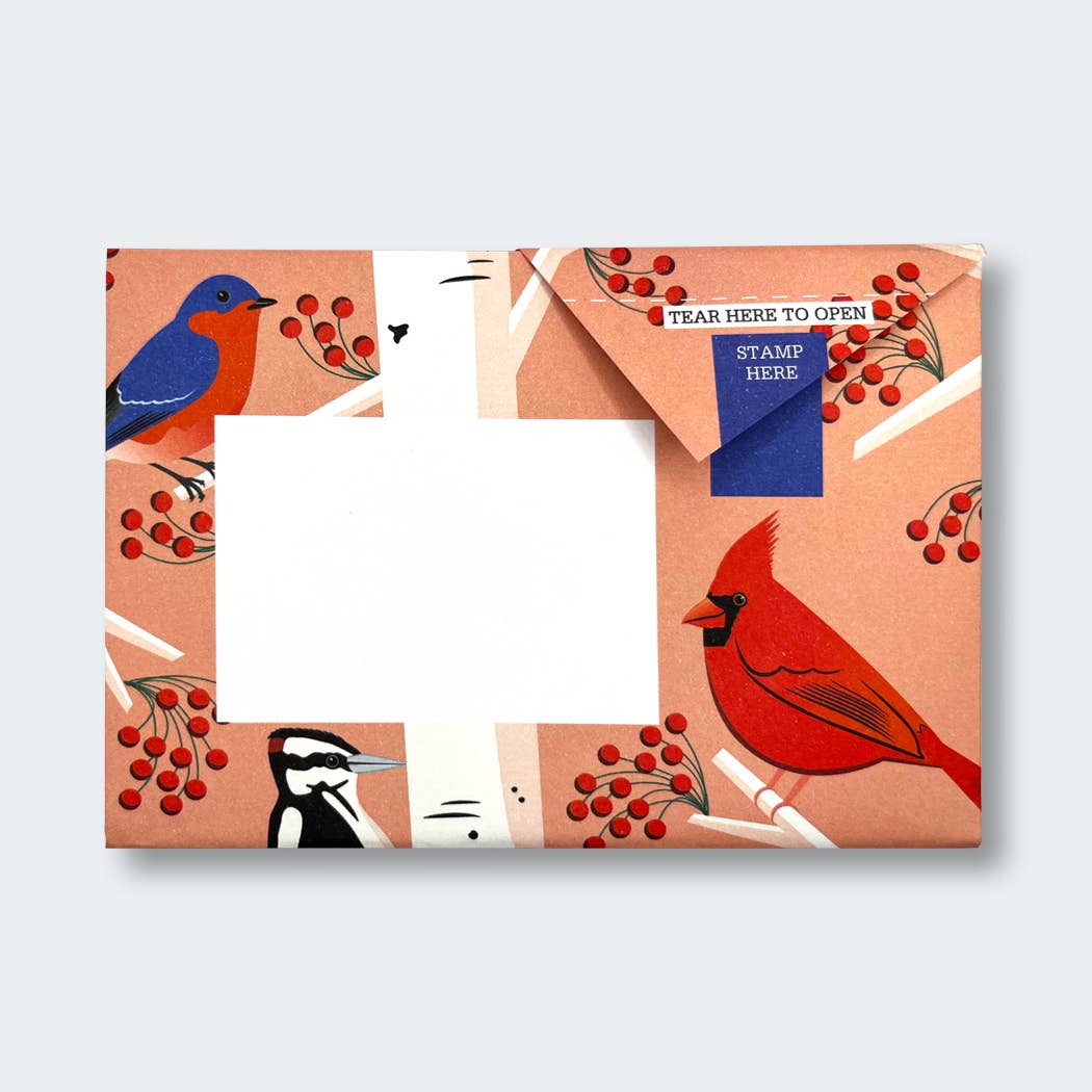 pigeonposted - Carnival of Colour Pigeon letter pack