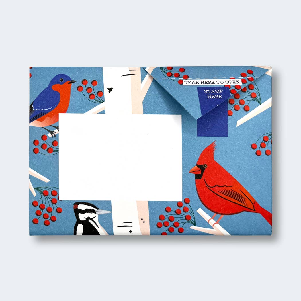 pigeonposted - Carnival of Colour Pigeon letter pack
