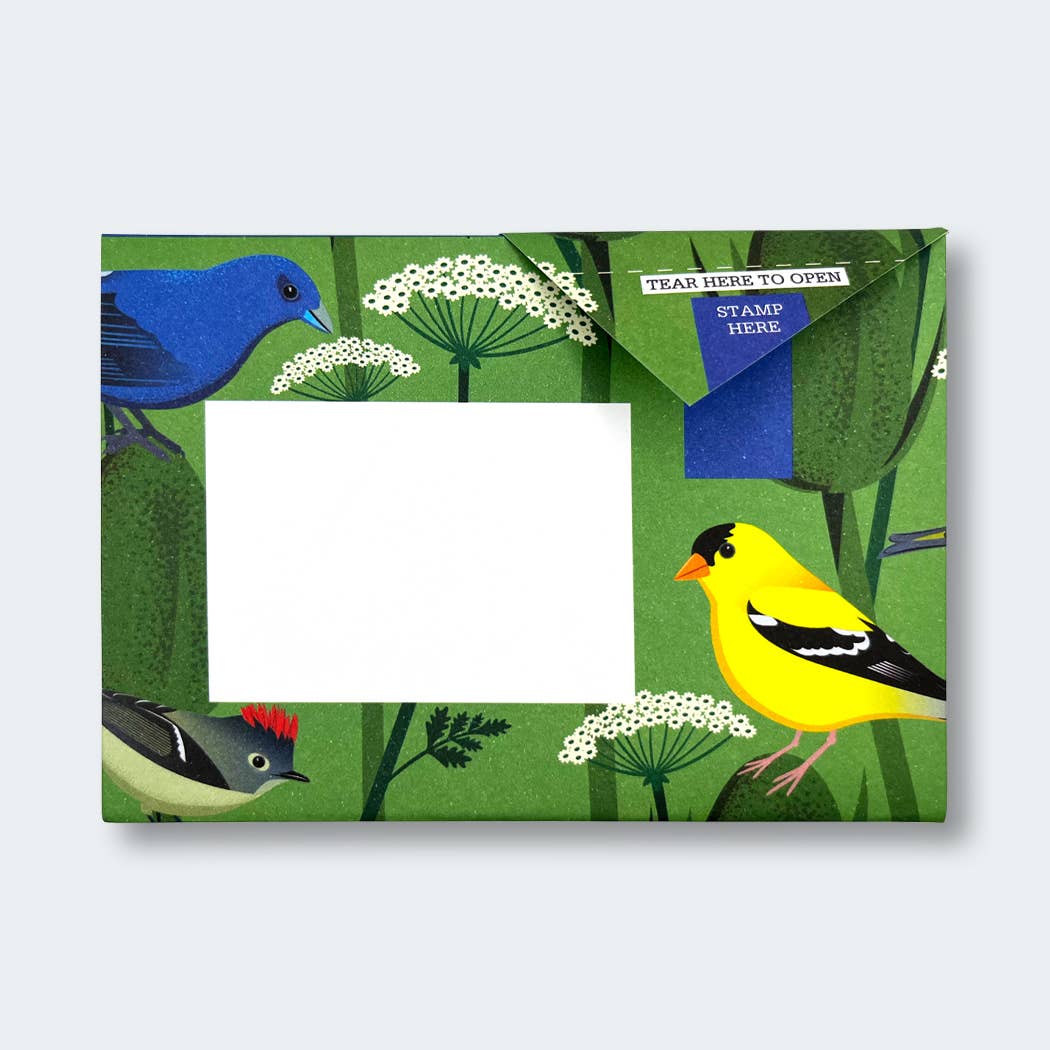 pigeonposted - Carnival of Colour Pigeon letter pack