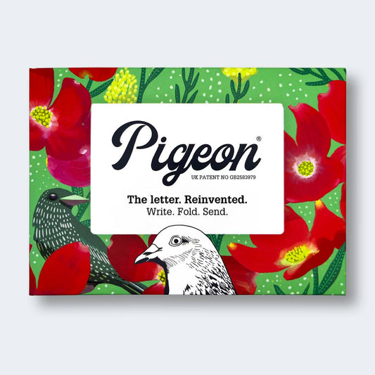 pigeonposted - Dusk to Dawn Pigeon letter pack