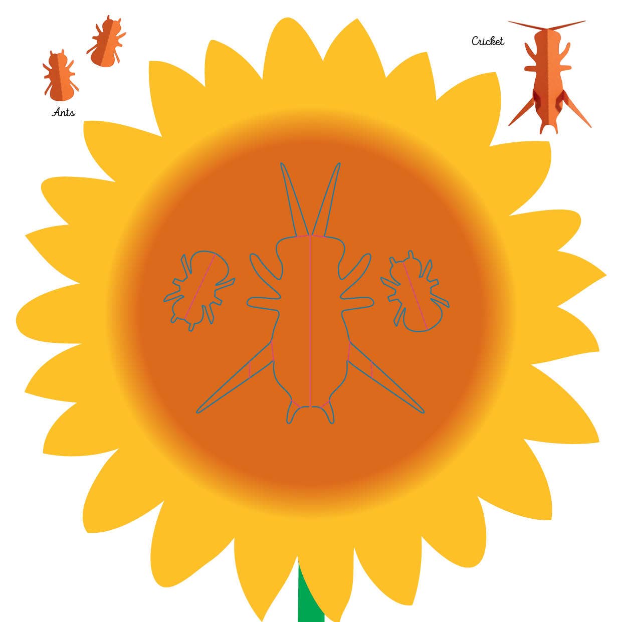 Insects - Fold & Play