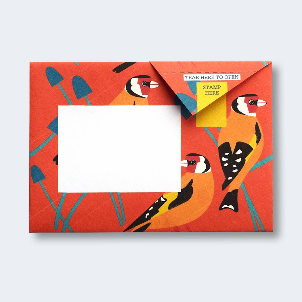 pigeonposted - Dawn Chorus Pigeon letter pack