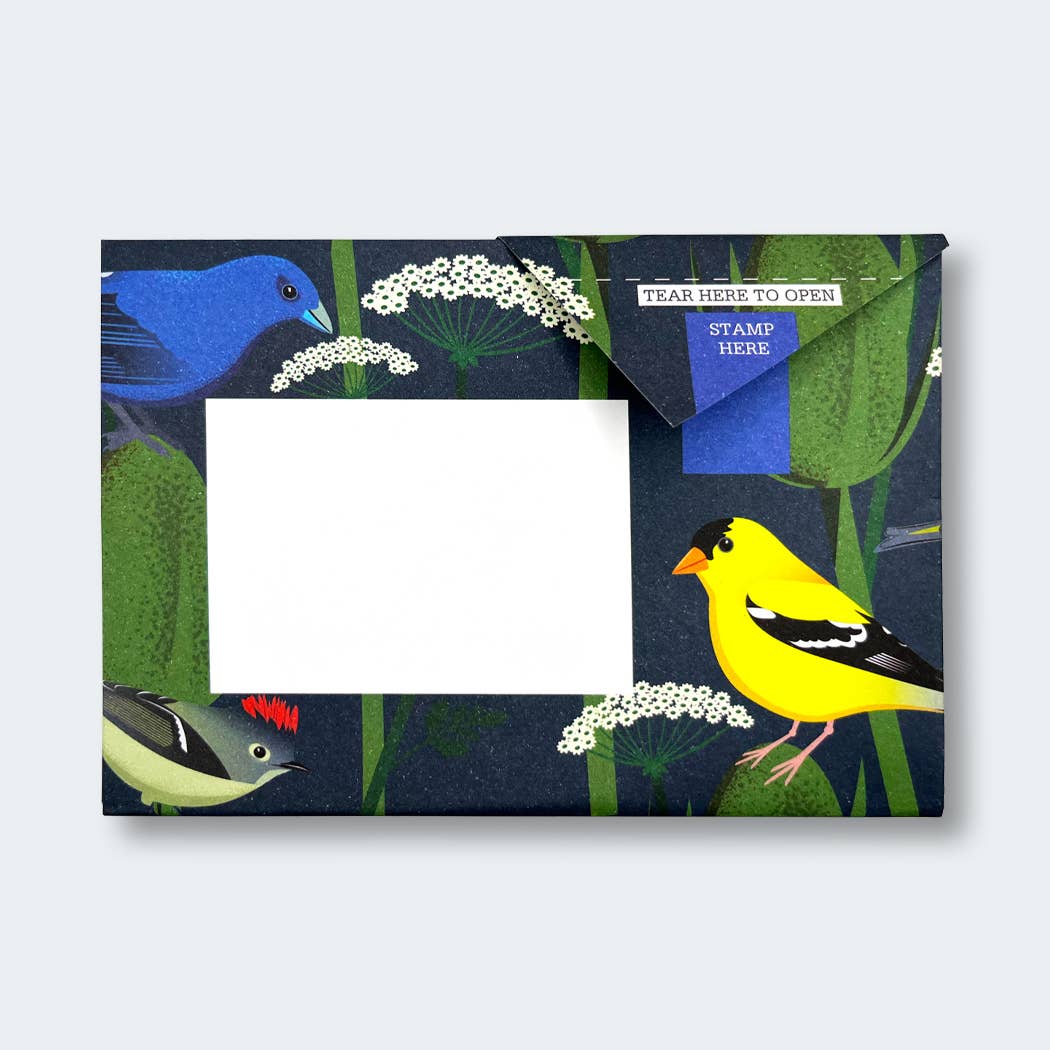 pigeonposted - Carnival of Colour Pigeon letter pack