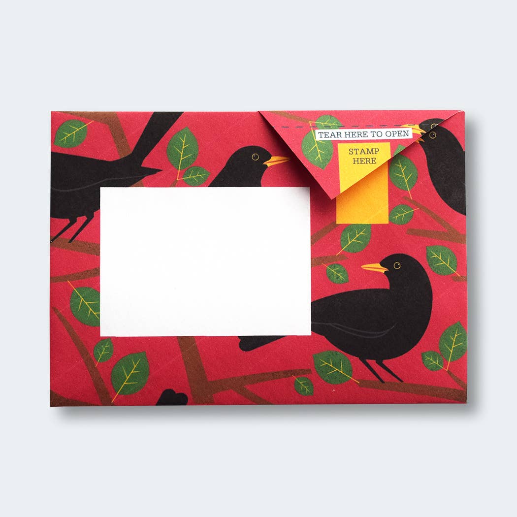 pigeonposted - Dawn Chorus Pigeon letter pack