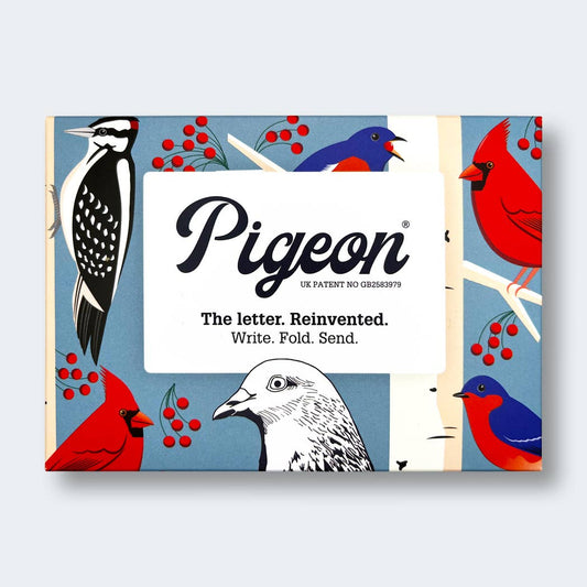 pigeonposted - Carnival of Colour Pigeon letter pack