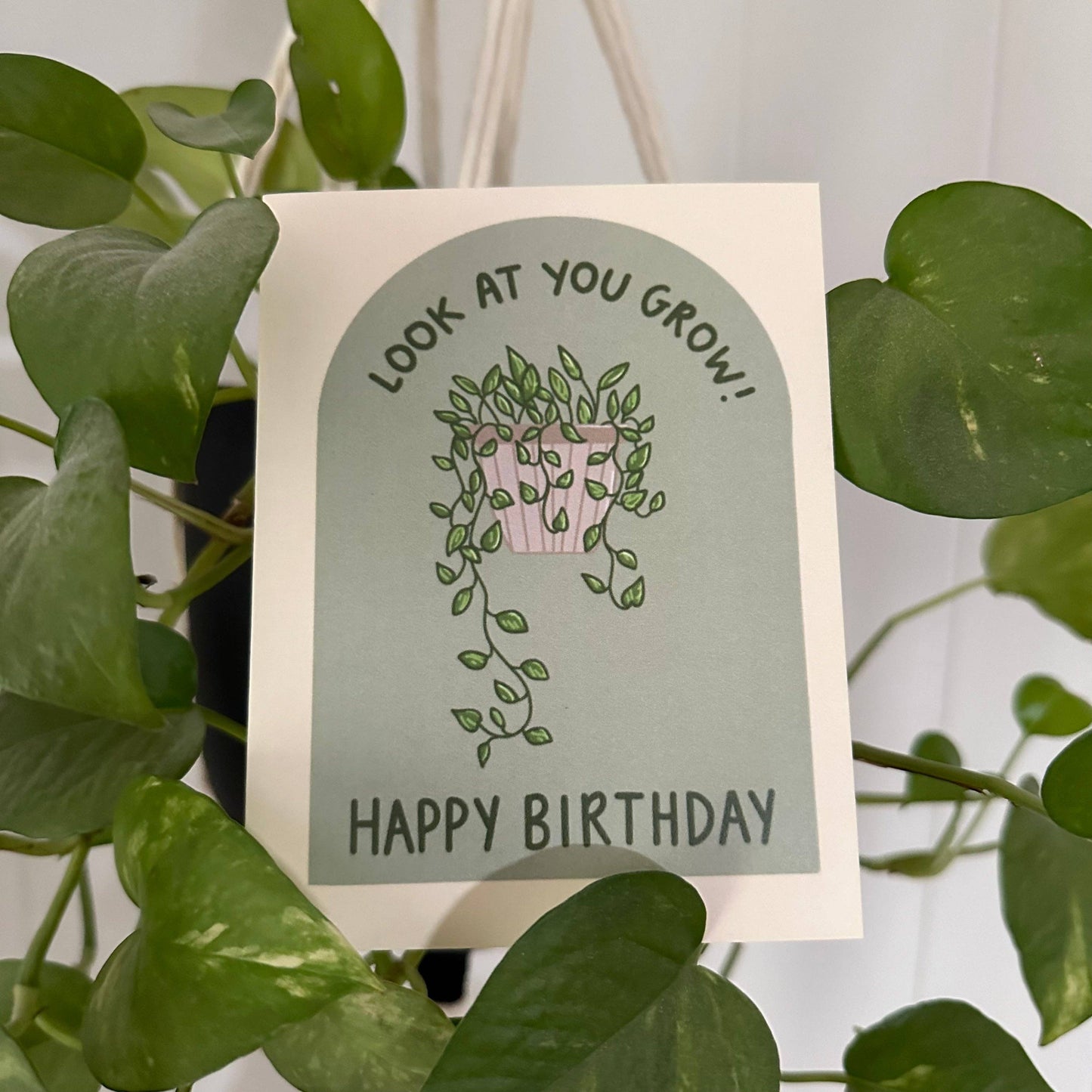 Designs with Jamie - Look at You Grow Birthday Card