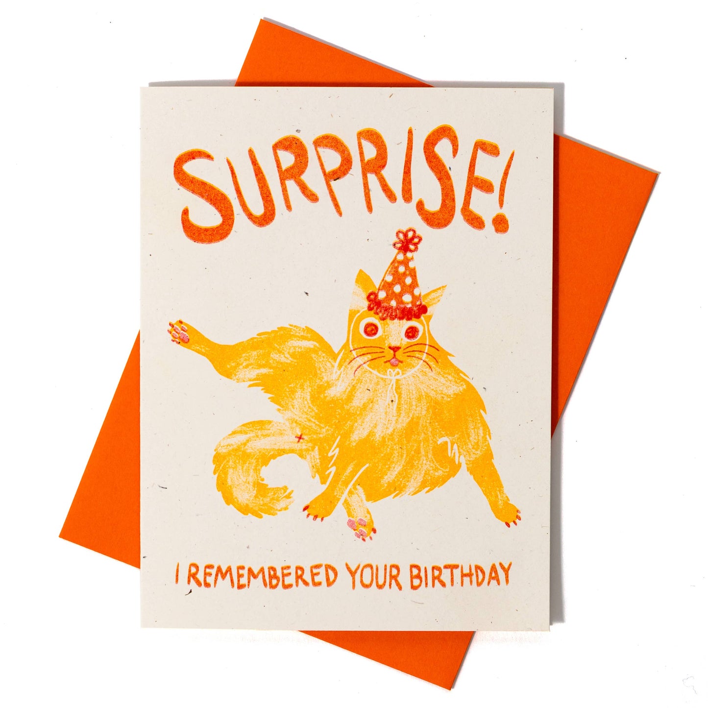 Bromstad Printing Co. - Surprise! I Remembered Your Birthday Cat - Risograph Card