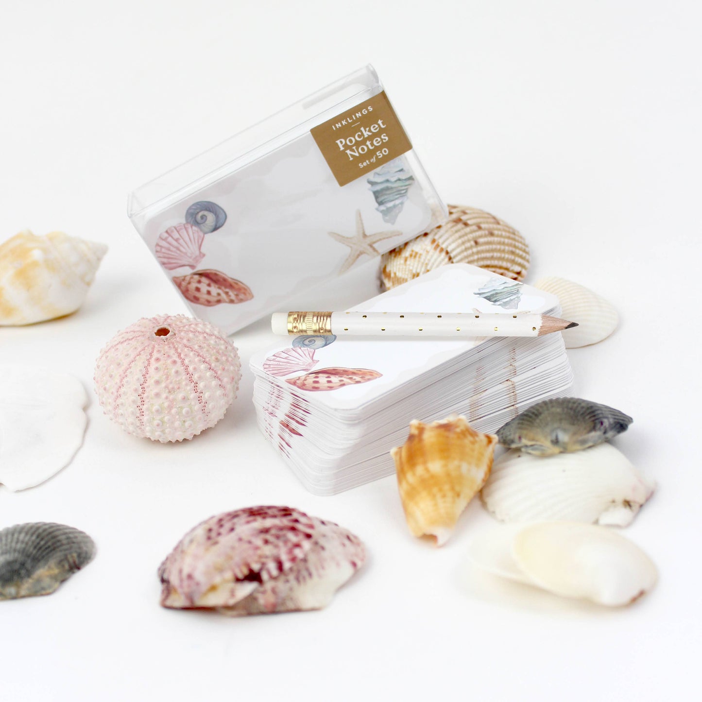 Seashells - Pocket Notes