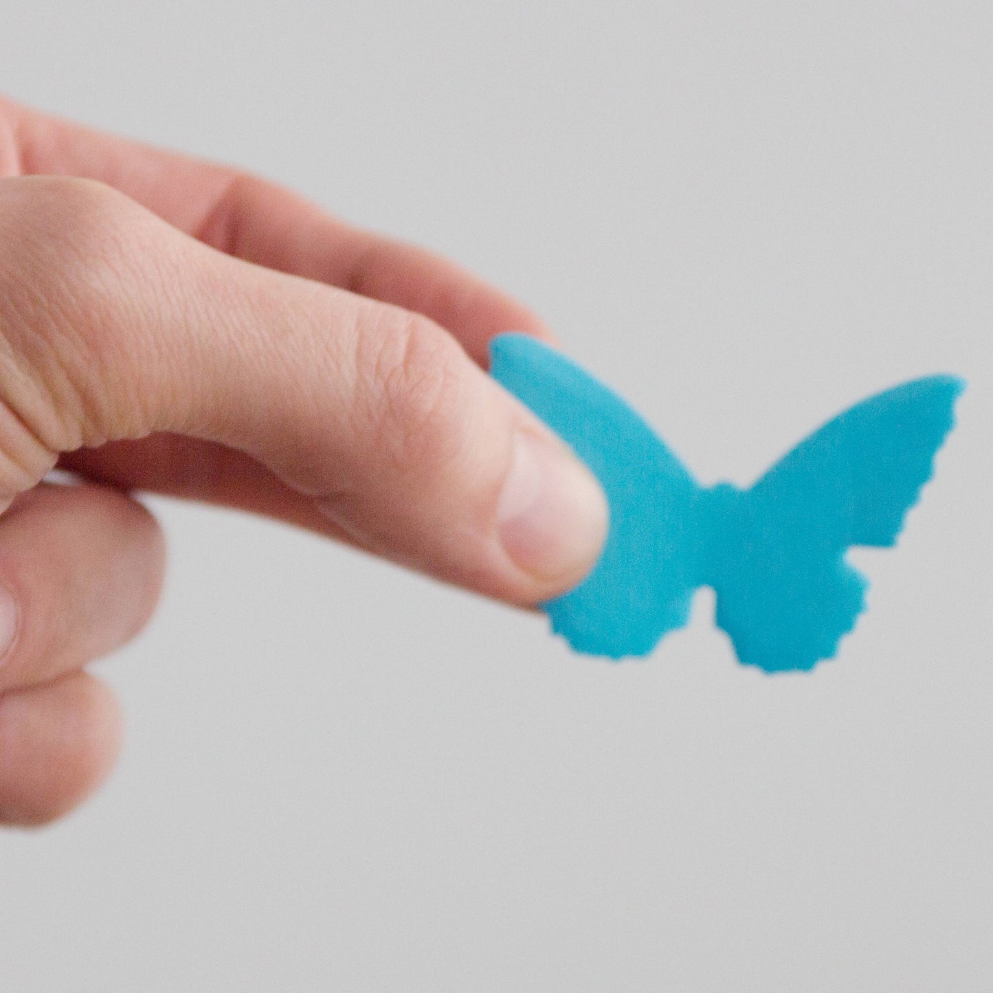 3D Butterfly Sticky Notes - Specimen Style Box
