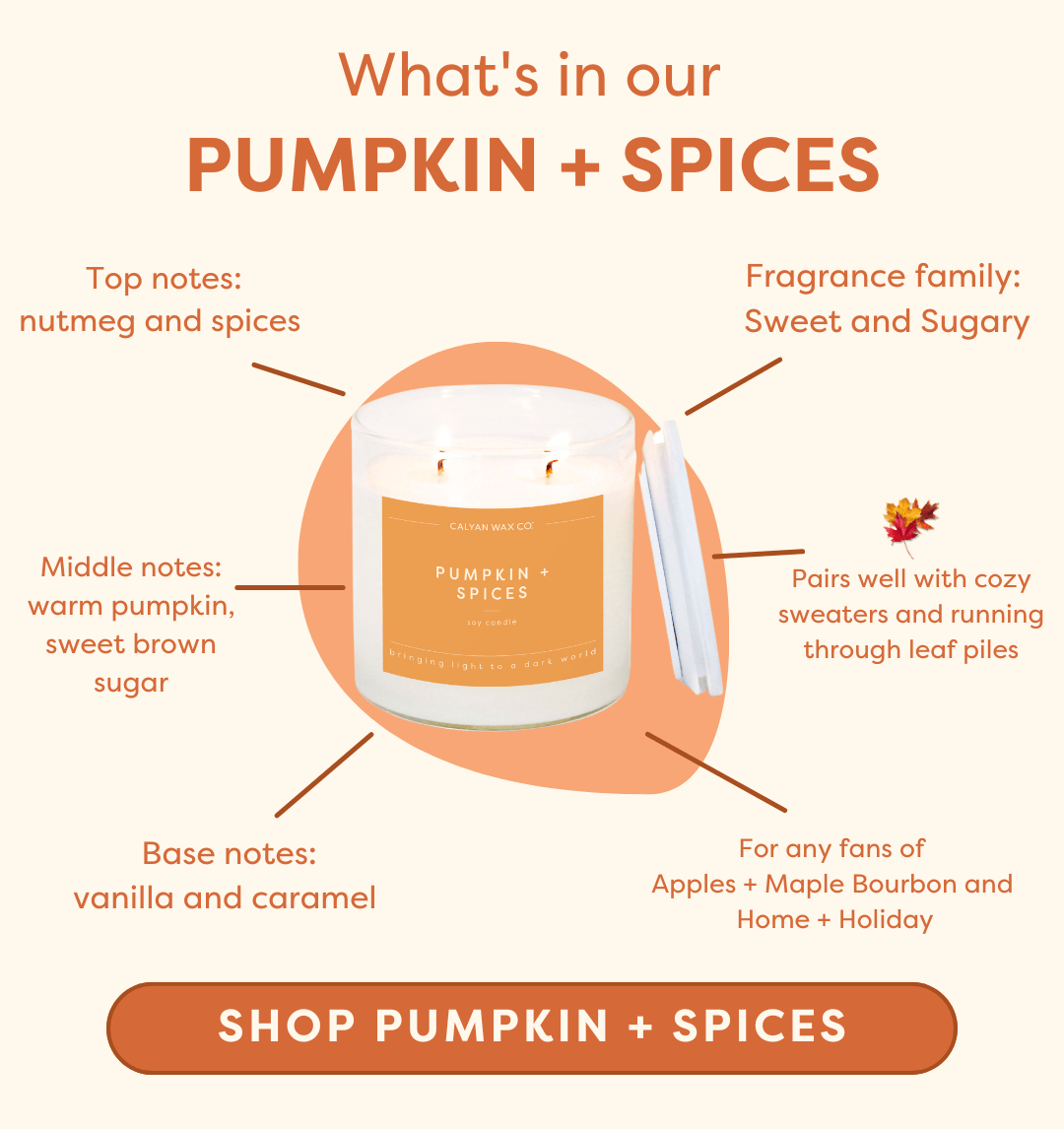 Calyan Wax Co. - Pumpkin + Spices - Clear Glass Tumbler Soy Candle