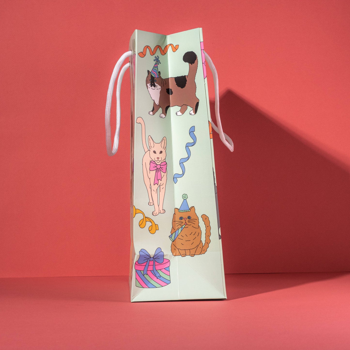 Illustrating Amy - Birthday Cats Gift Bag