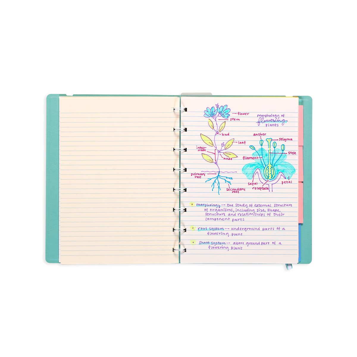 Writer's Duo - Double-Ended Fountain Pens & Highlighters - Set of 3