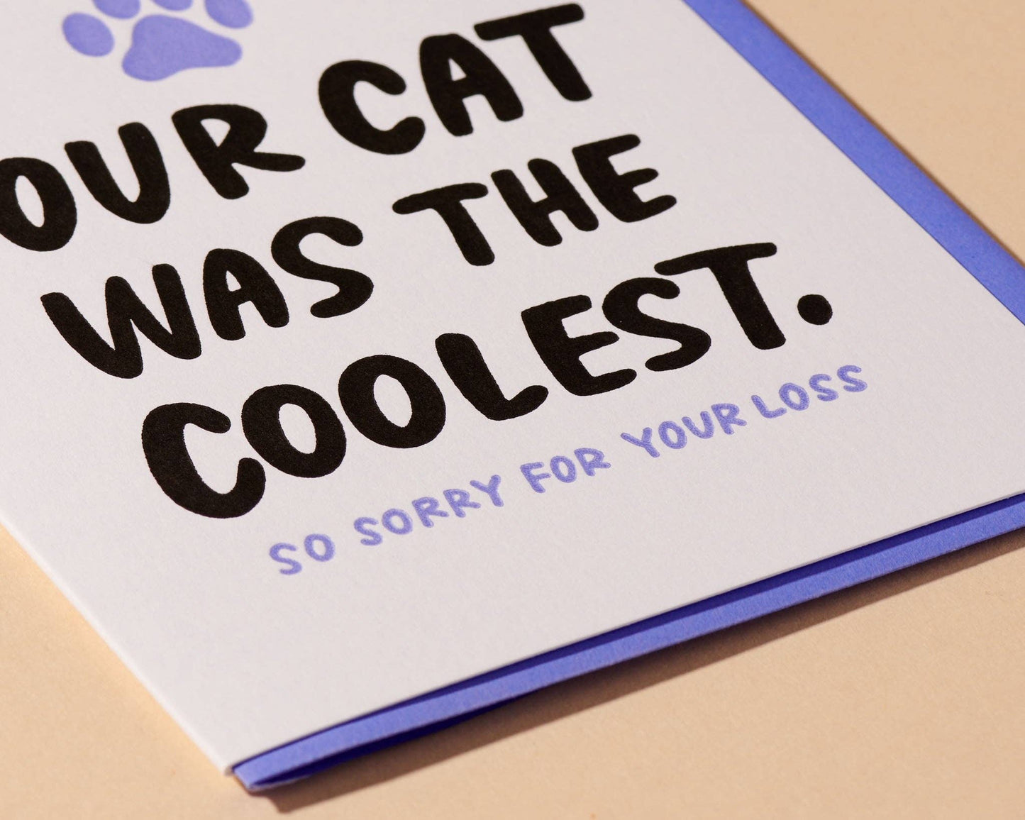 And Here We Are - Coolest Cat Letterpress Card - Pet Loss, Sympathy