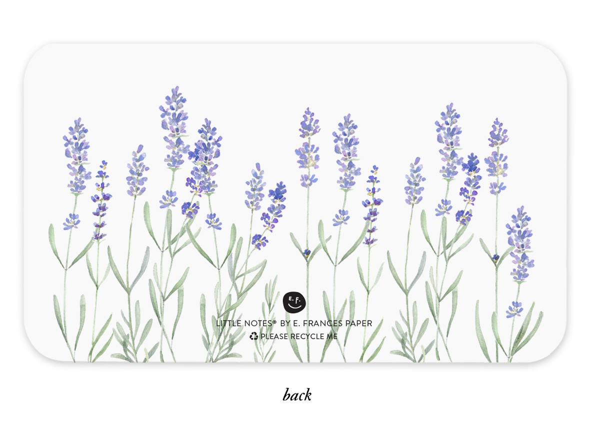 E. Frances Paper - Lavender Little Notes®