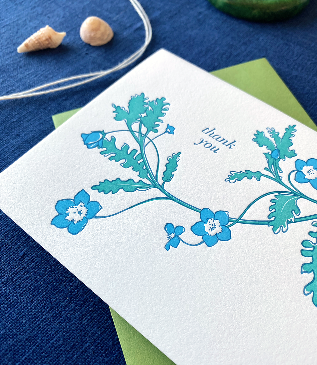 Blue Eyes Thank You Card - Set of 6