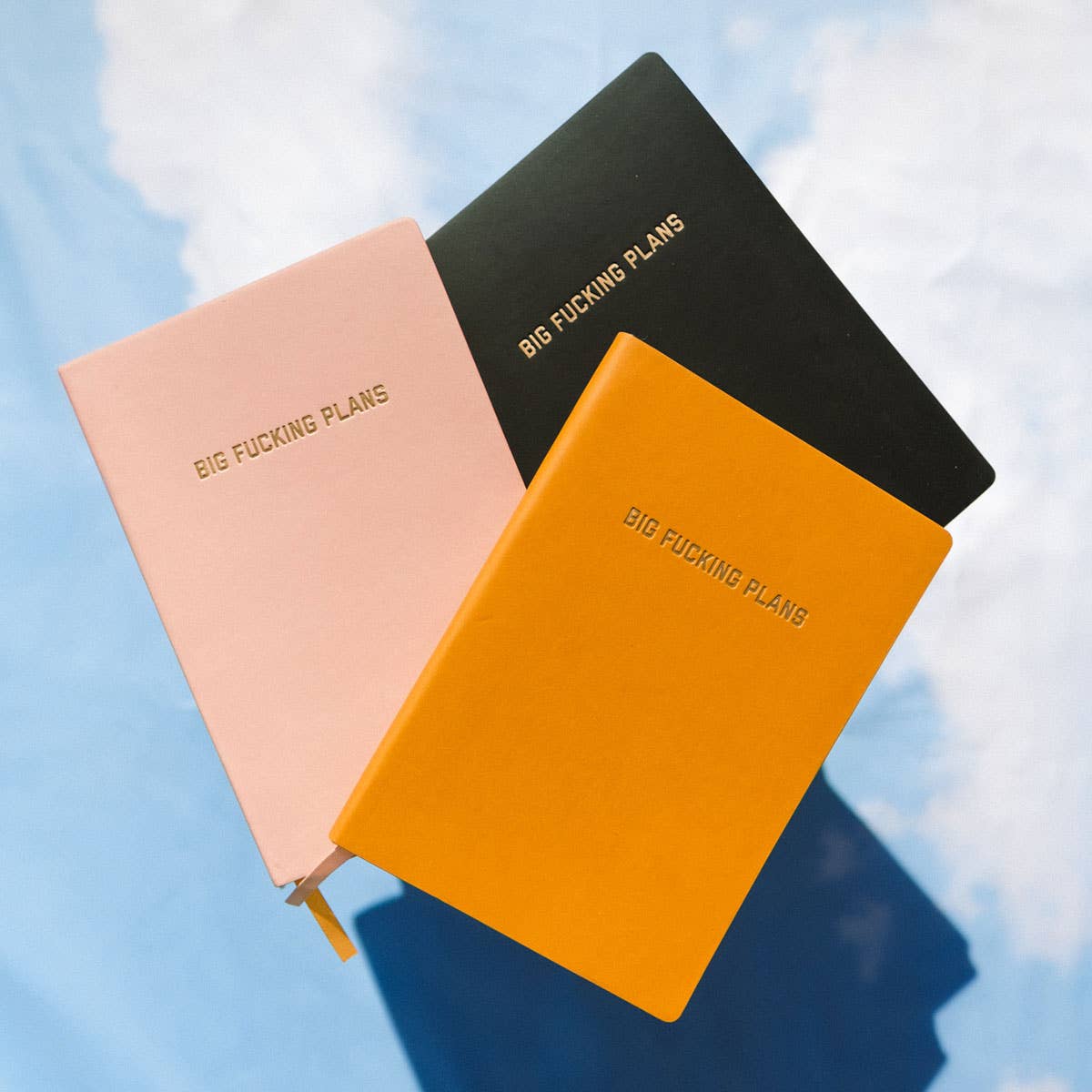 Golden Gems - Big Fucking Plans Dotted Journal - Light Pink