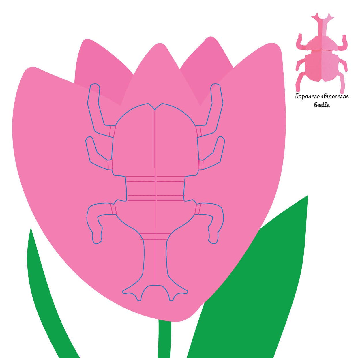 Insects - Fold & Play