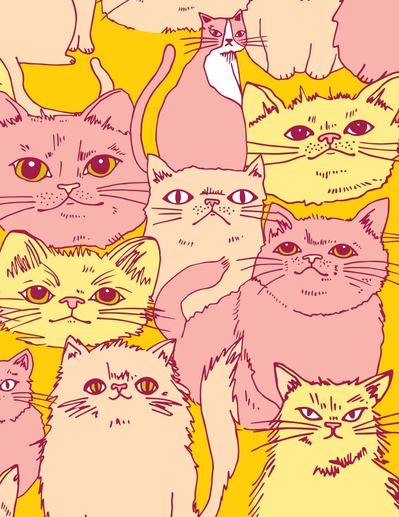 Cats Faces Gift Bag