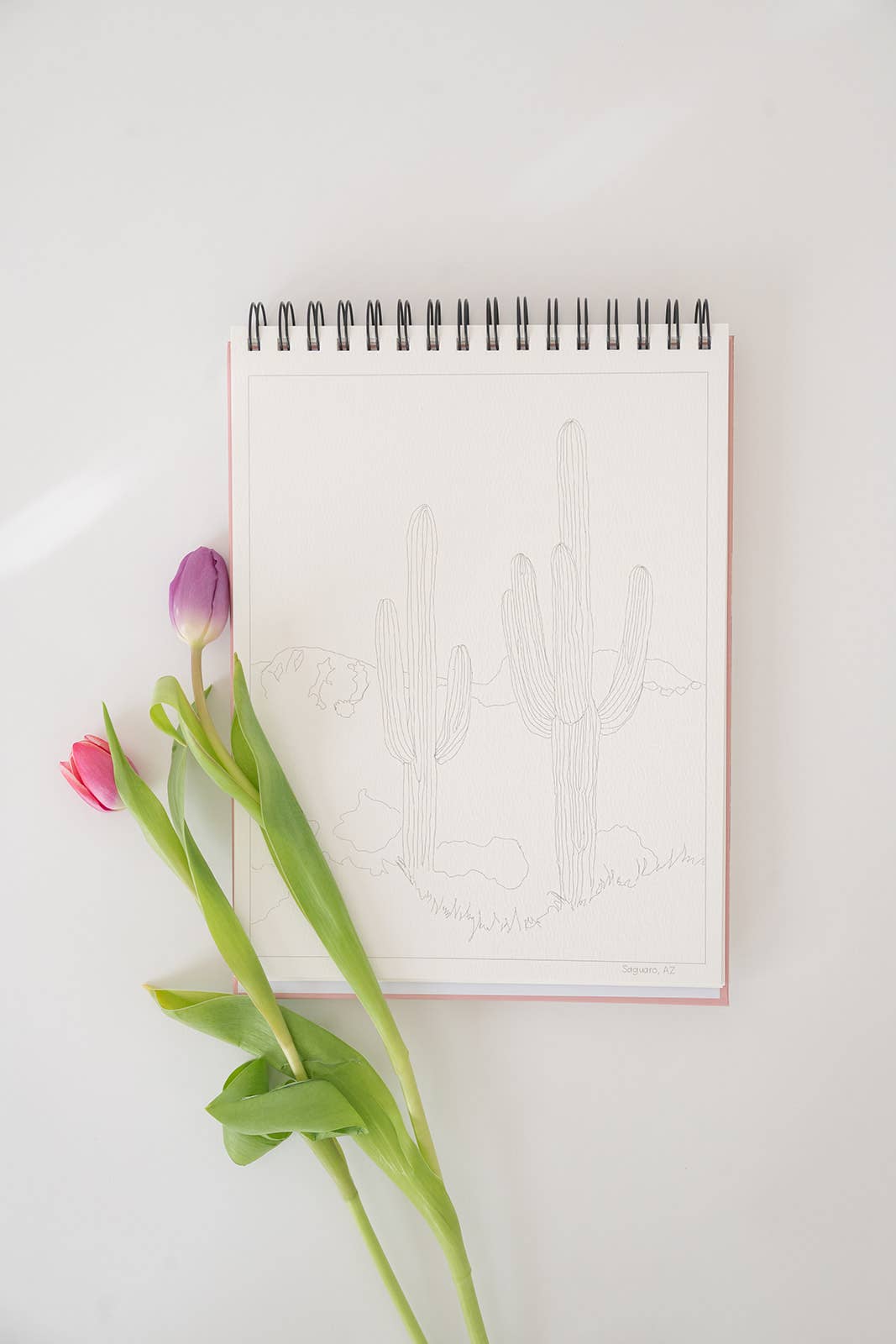 National Parks Watercoloring Book