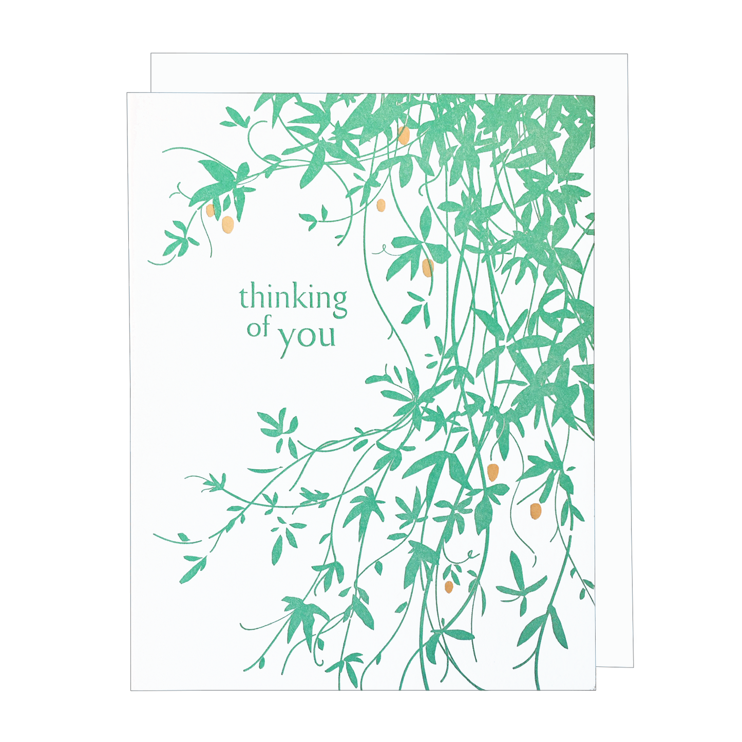 Vine - Sympathy Card