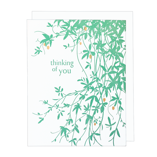 Vine - Sympathy Card