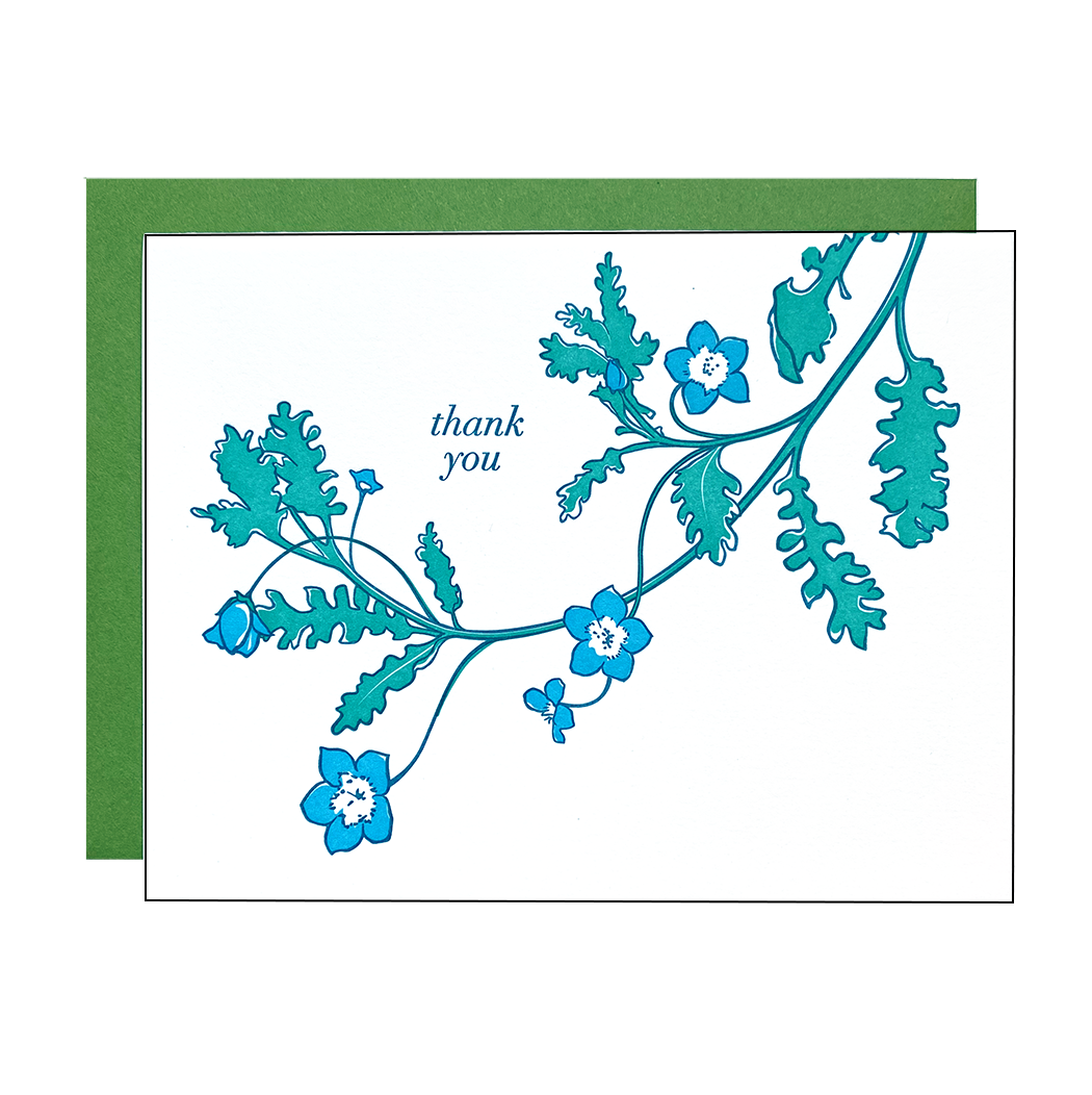 Blue Eyes Thank You Card - Set of 6
