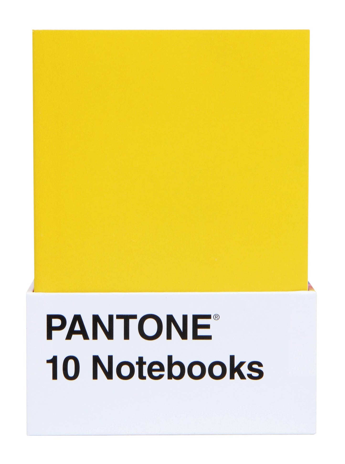 Pantone Mini Notebooks - Set of 10