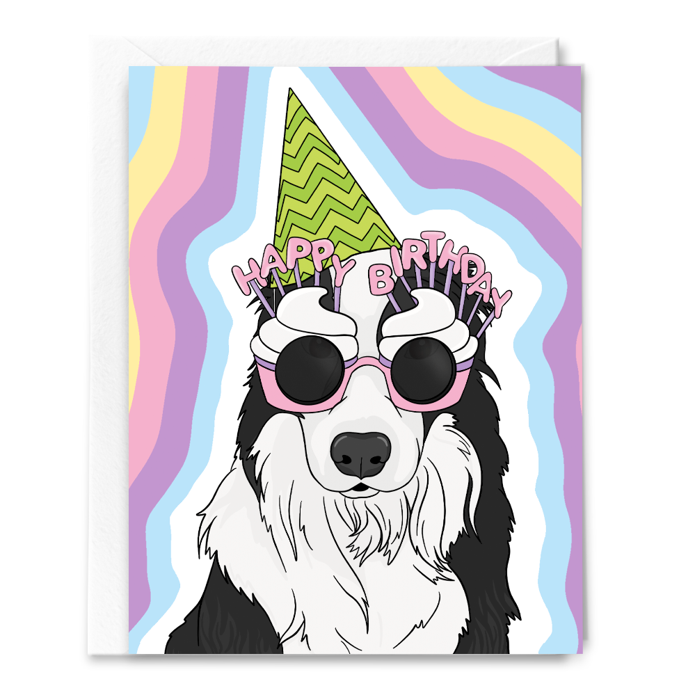 Border Collie Birthday Dog - Greeting Card