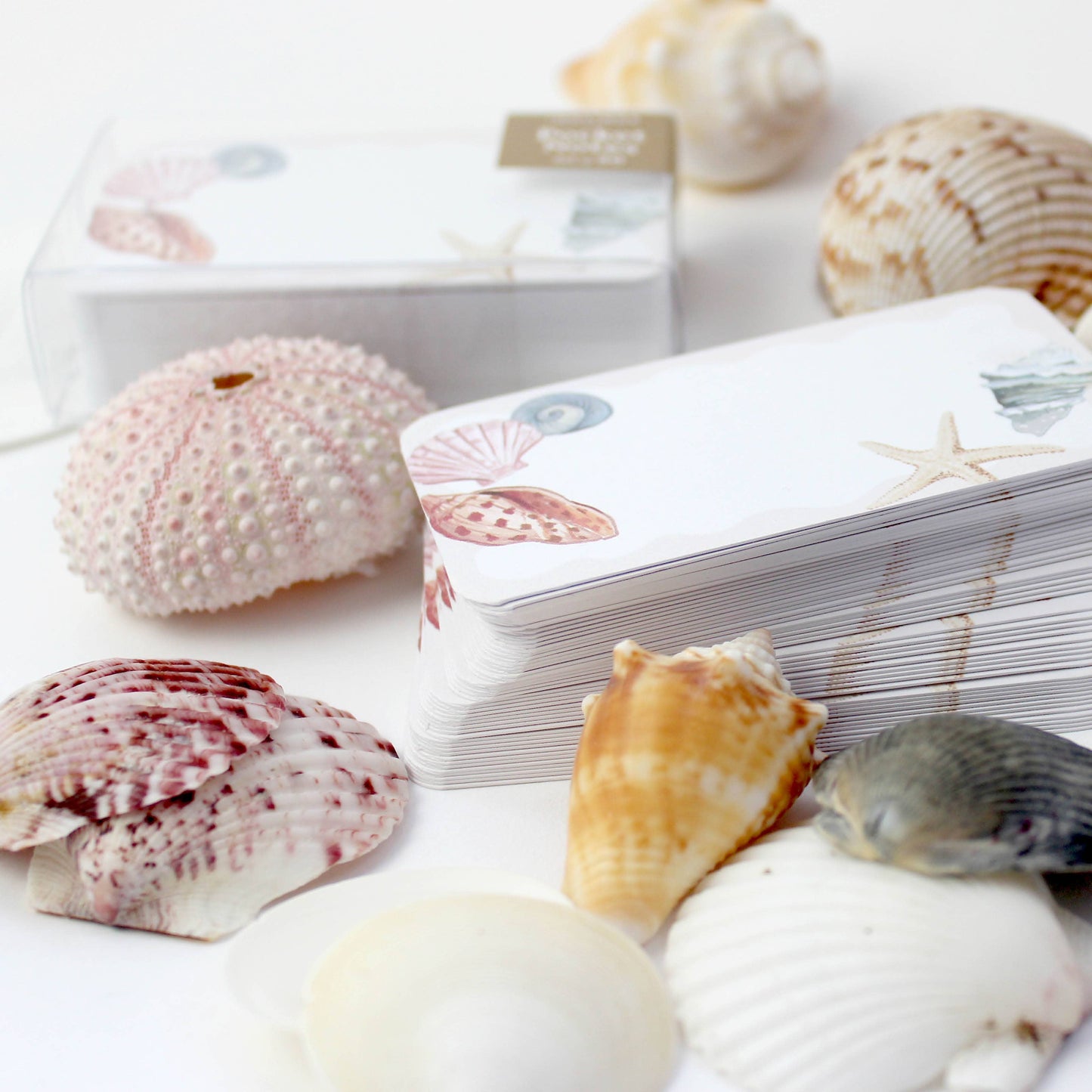 Seashells - Pocket Notes