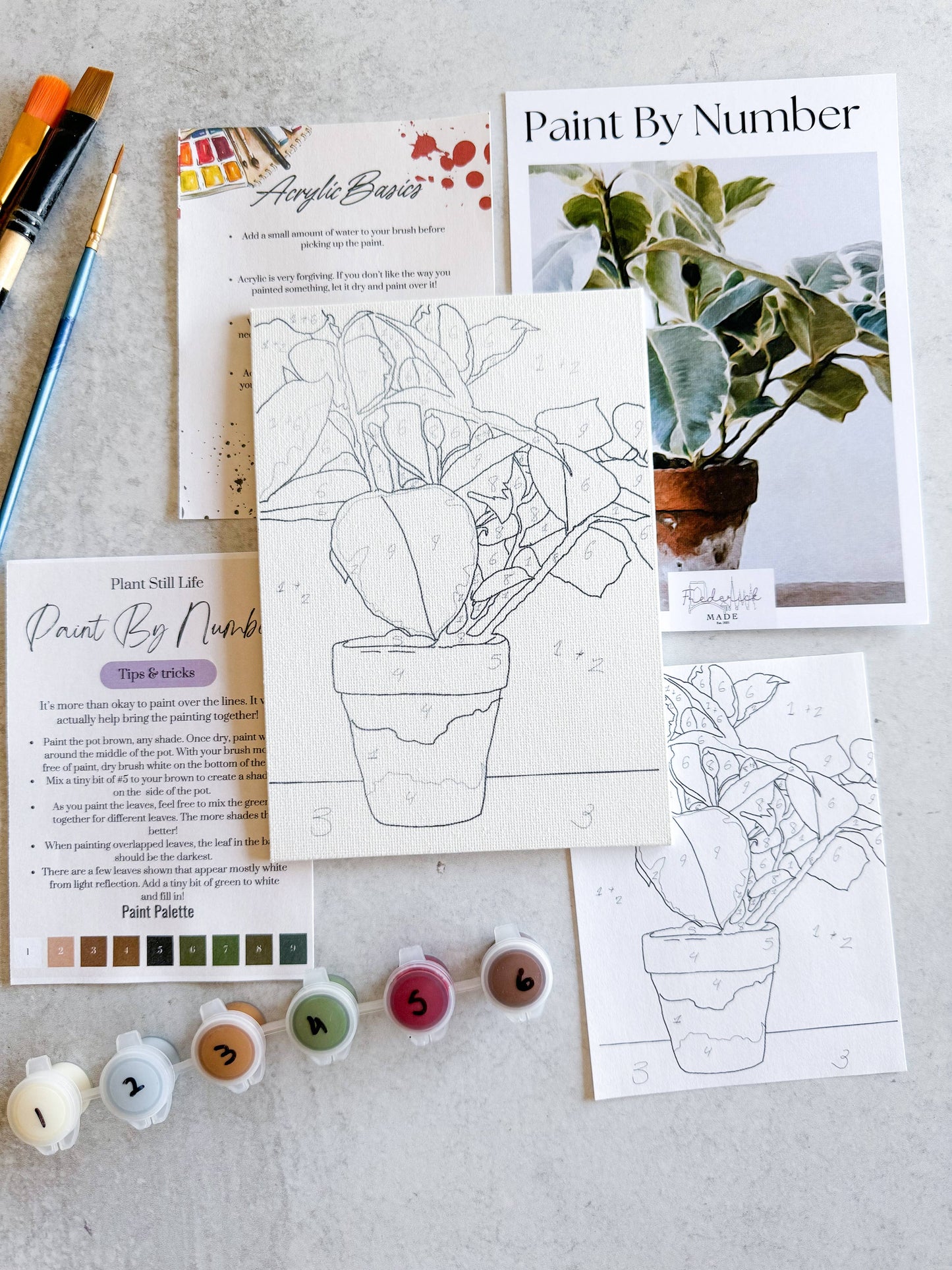 Plant Still Life - Mini Paint By Number