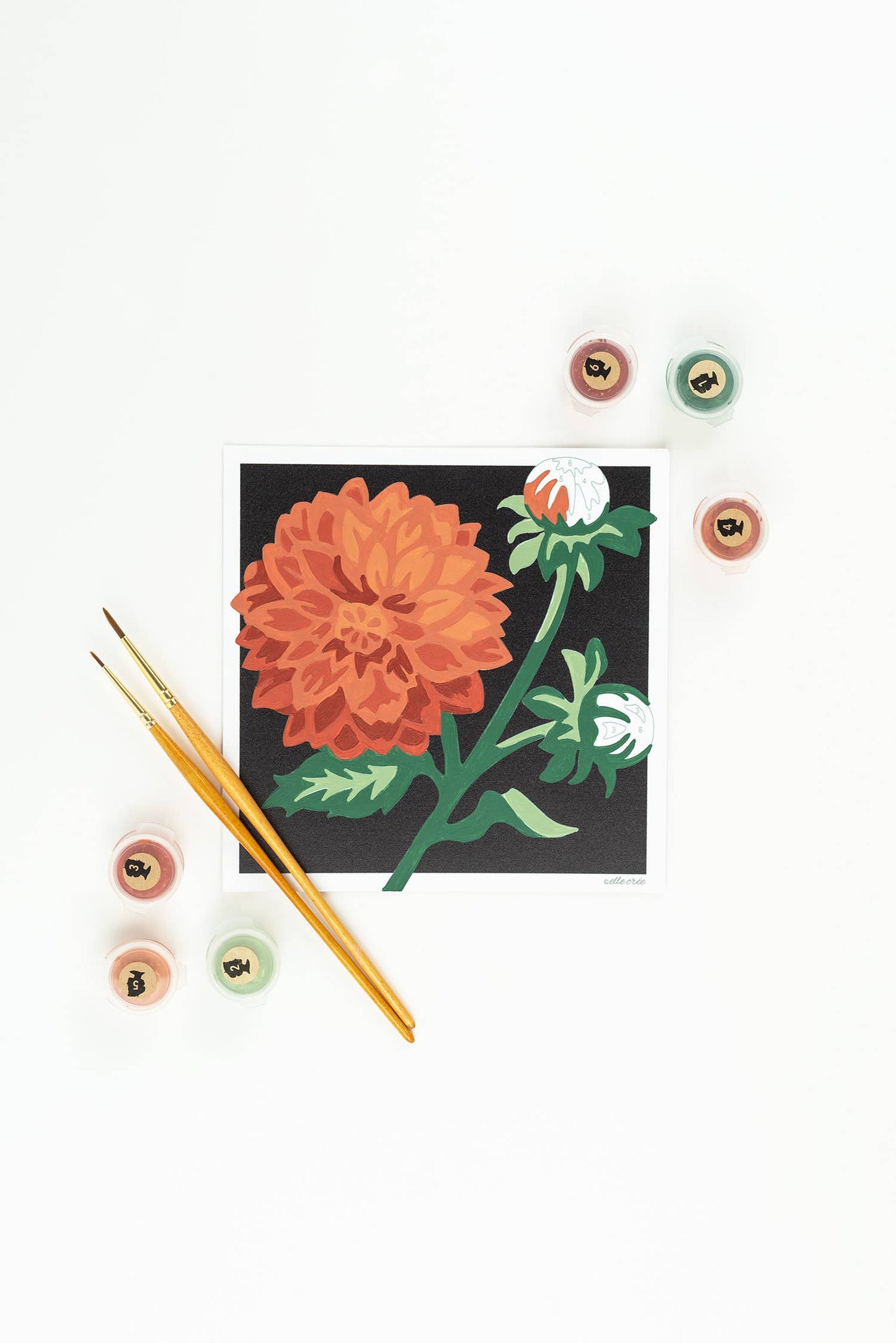 Elle Crée (She Creates) - Dahlias MINI Paint-by-Number Kit