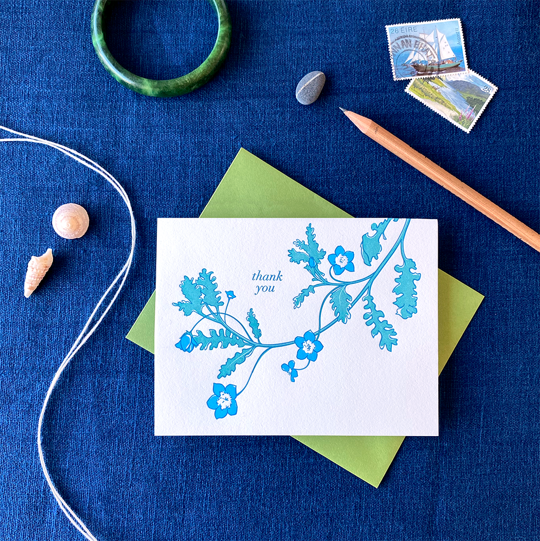 Blue Eyes Thank You Card - Set of 6