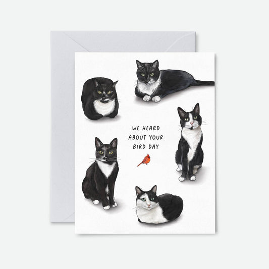Bird Day Tuxedo Cats - Funny Birthday Greeting Card