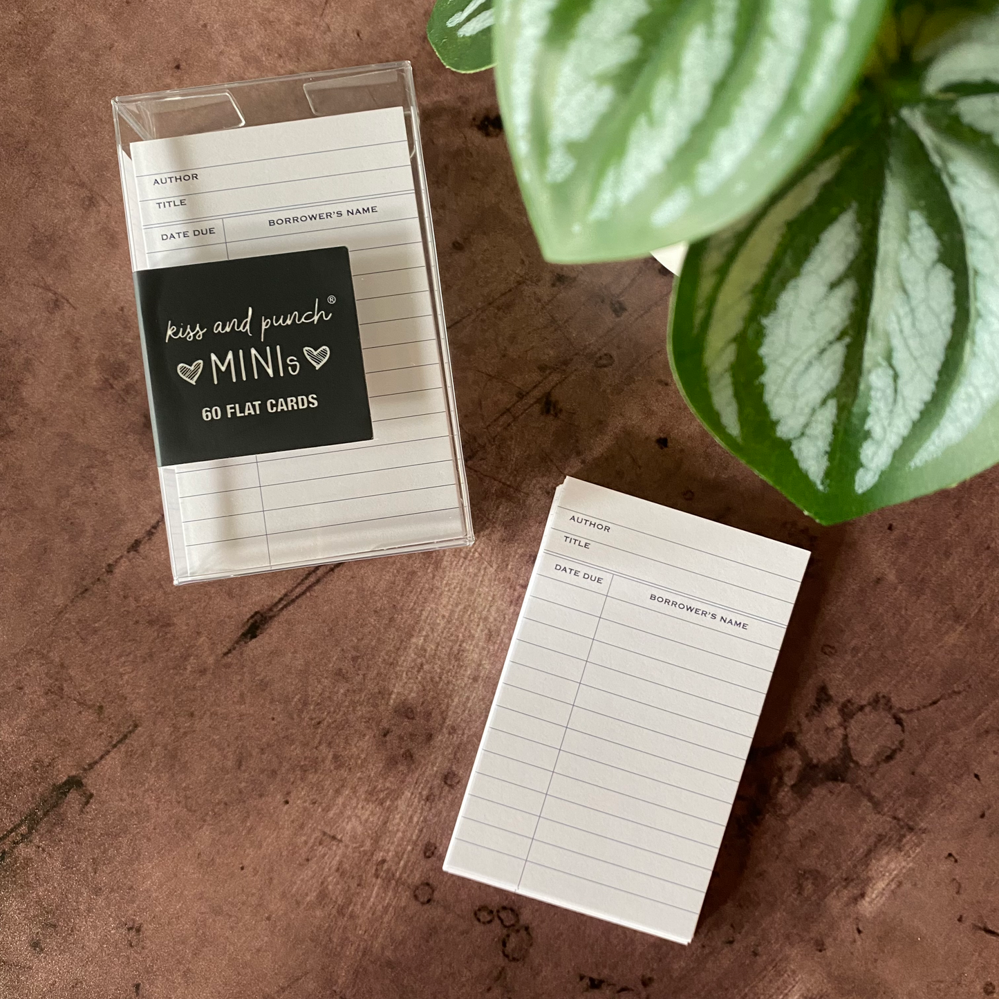 White Library Card - Mini Notecard Set of 60