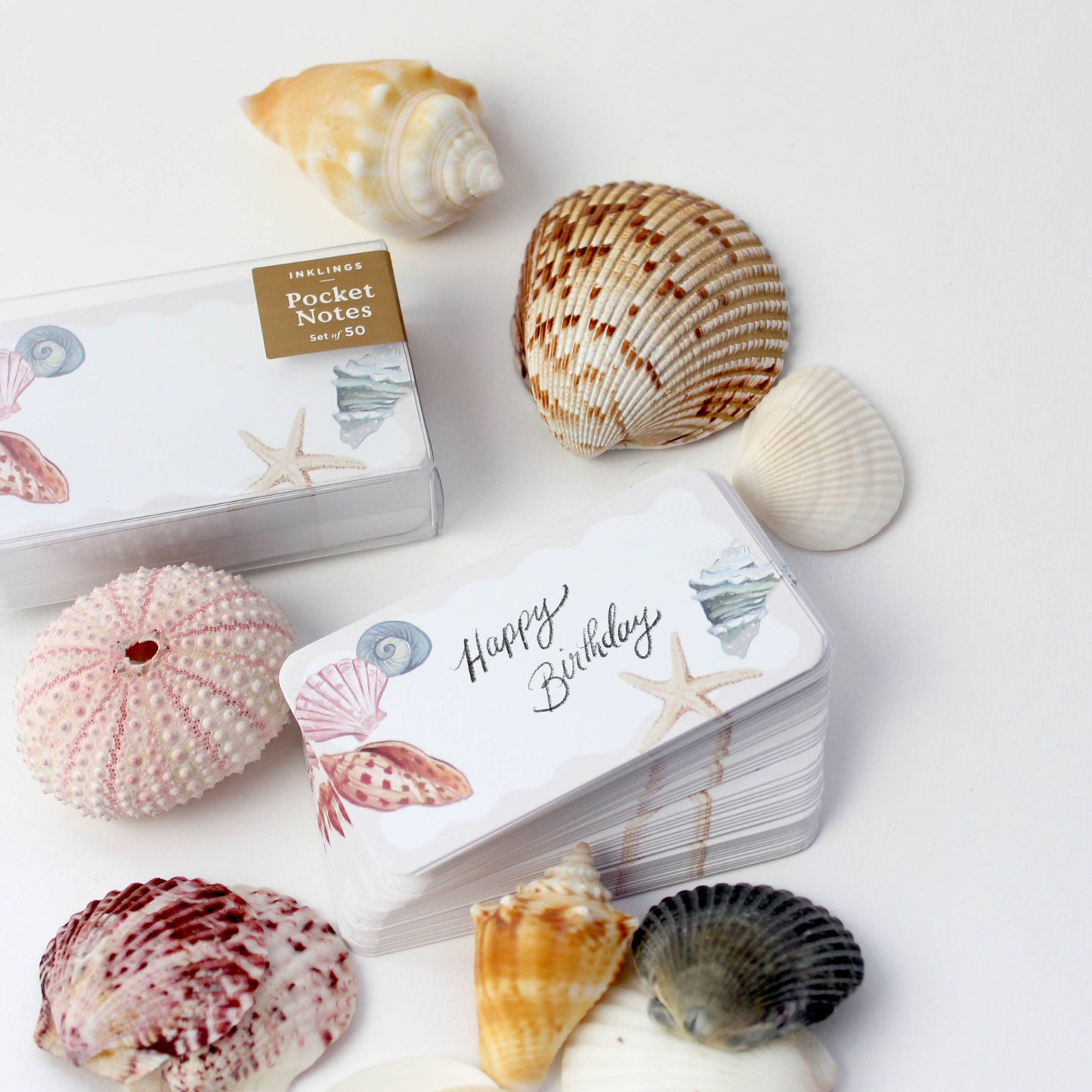 Seashells - Pocket Notes