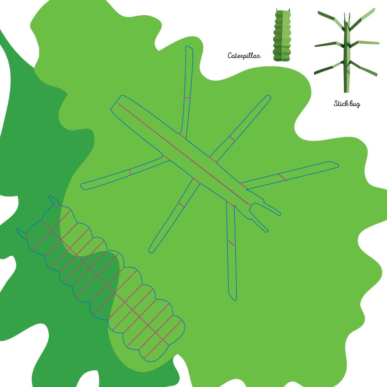 Insects - Fold & Play