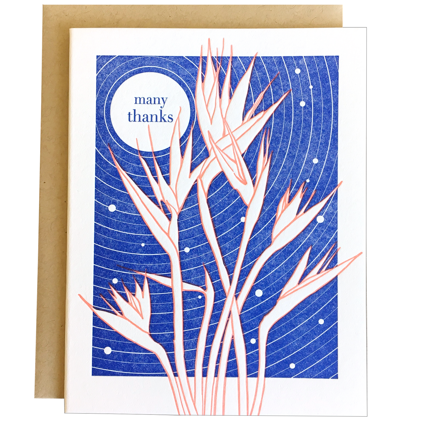 Bird of Paradise Thanks - Thank You Card