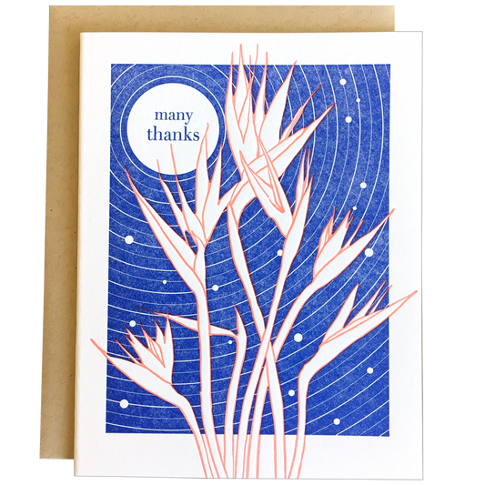 Bird of Paradise Thanks - Thank You Card