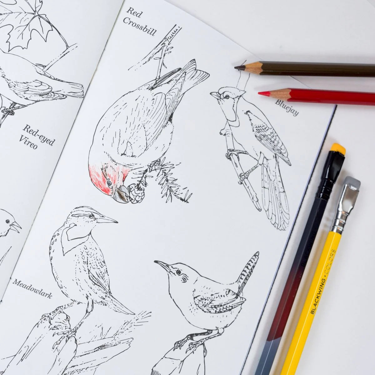 Blackwing Quarterly Zine - Issue 2 (Volume 458)
