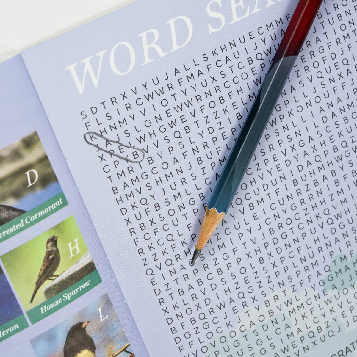 Blackwing Quarterly Zine - Issue 2 (Volume 458)