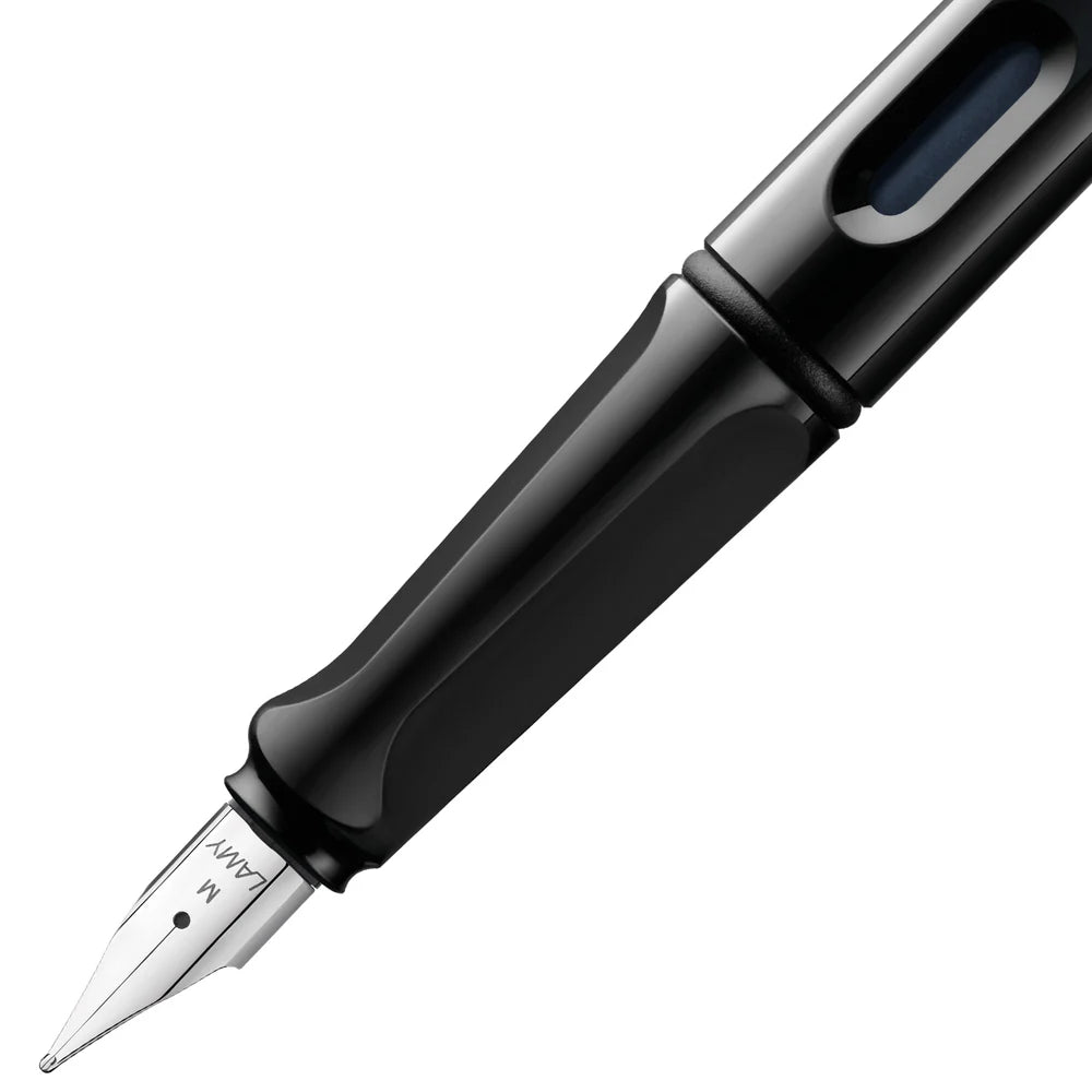 LAMY Fountain Pen 101 || June 20th