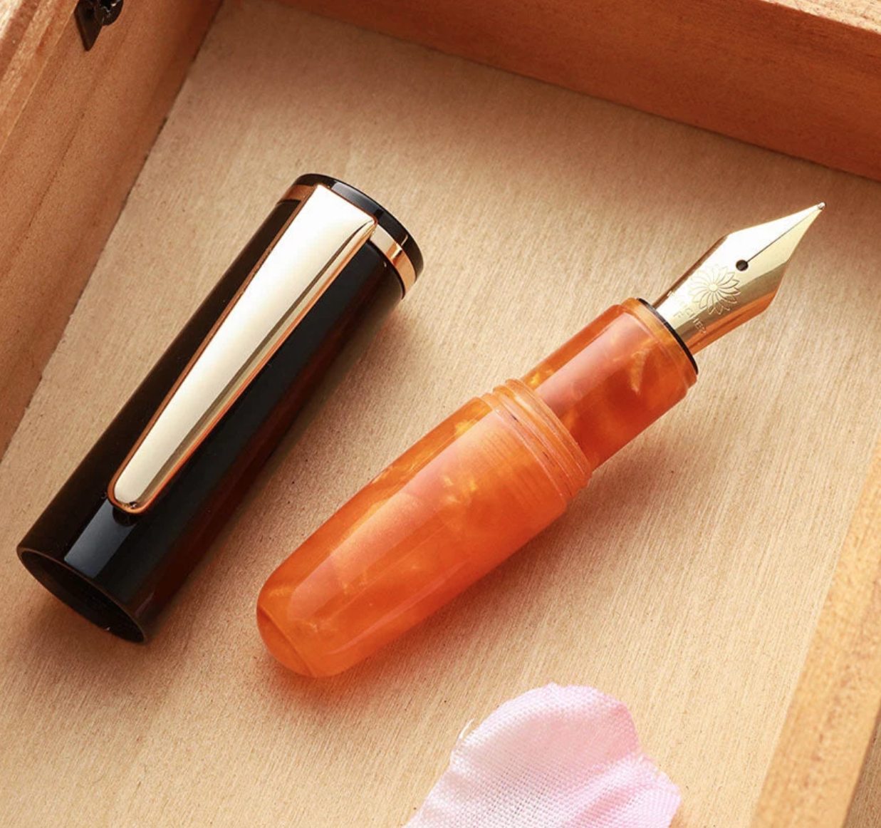 Wancher PuChiCo Fountain Pen
