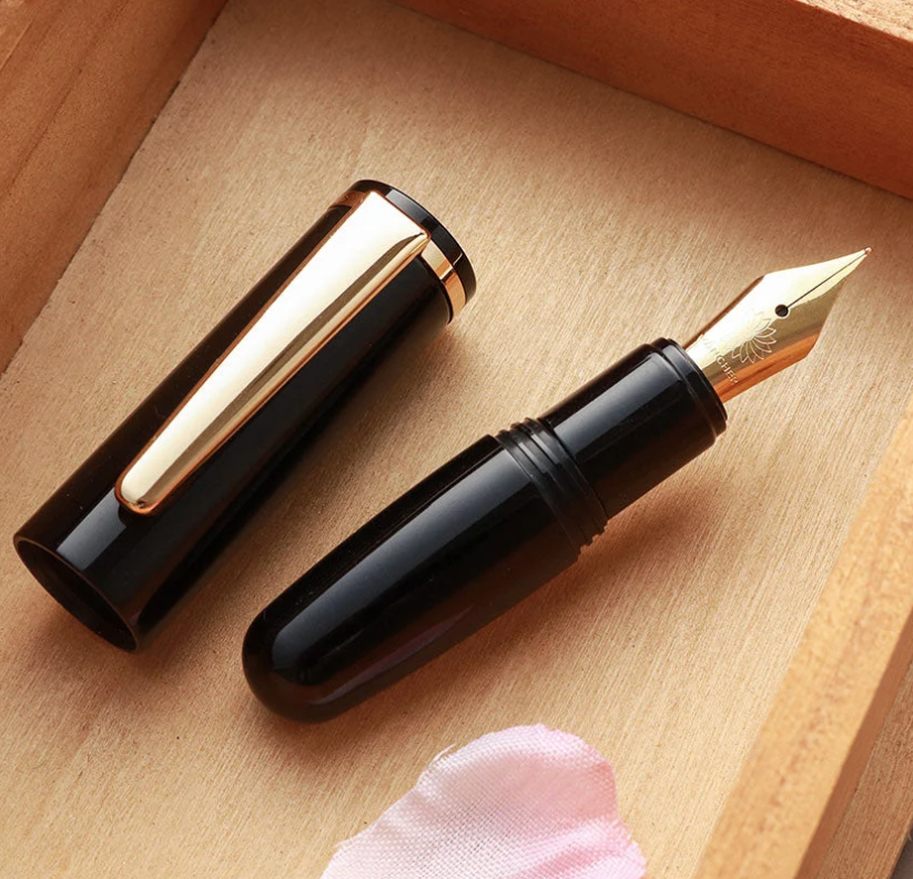 Wancher PuChiCo Fountain Pen
