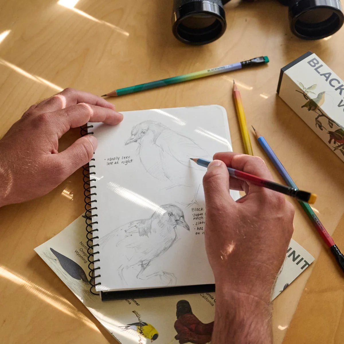 Blackwing Volume 458 Pencil - Birding