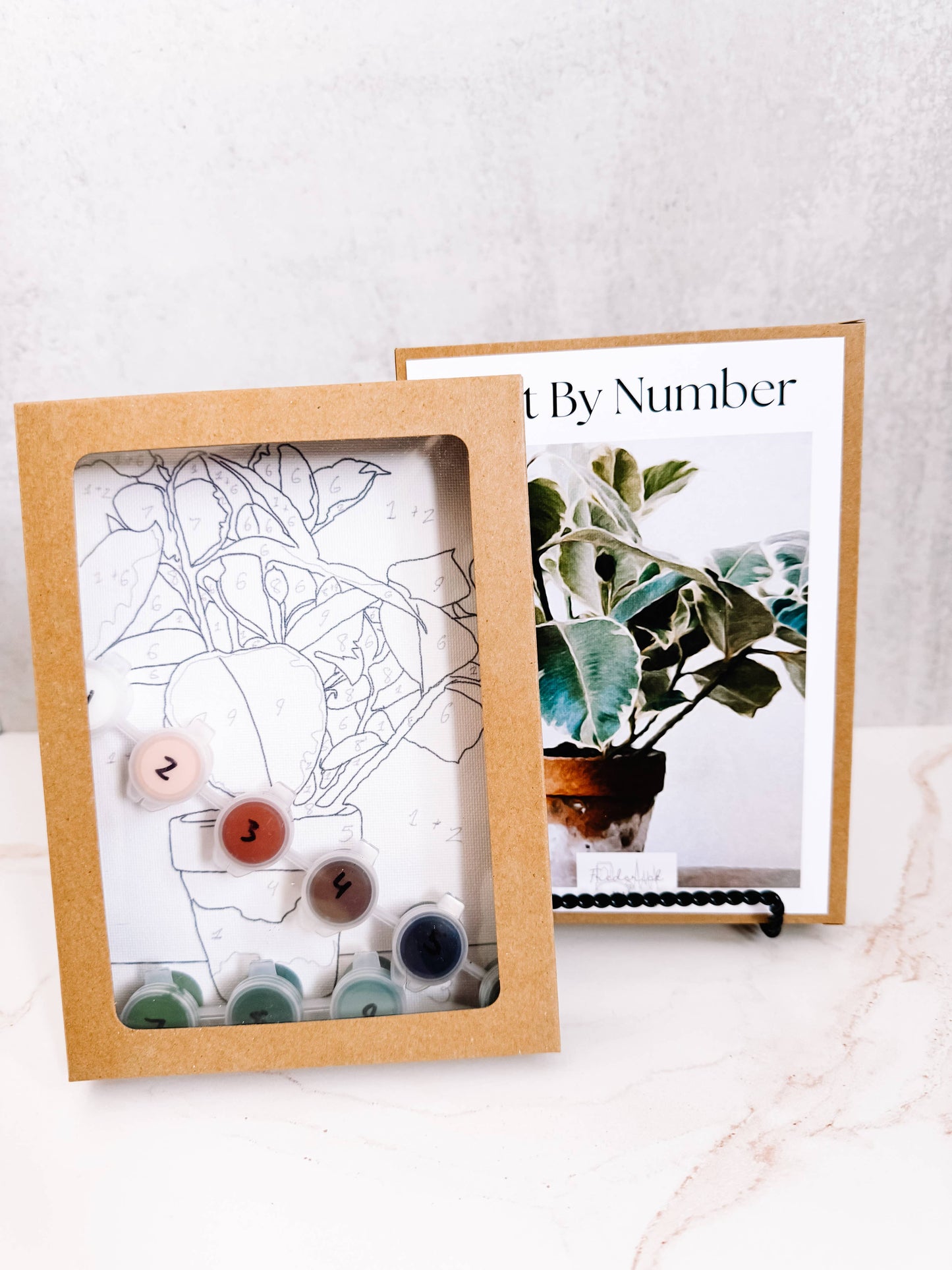 Plant Still Life - Mini Paint By Number