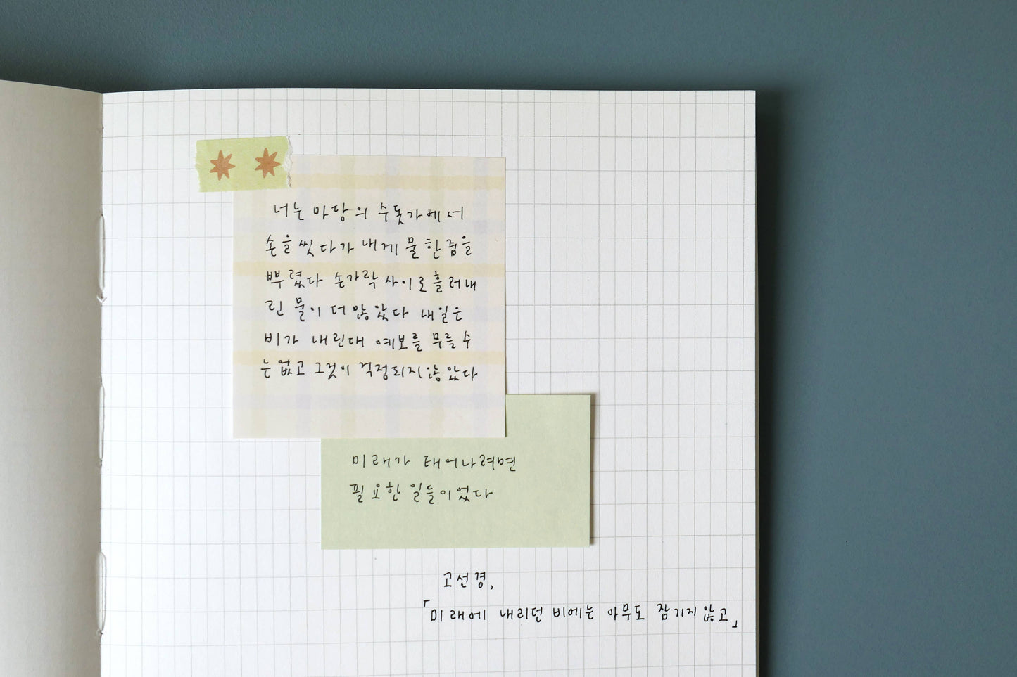 Sticky Notes - Plaid Duo - Daily Plan.59