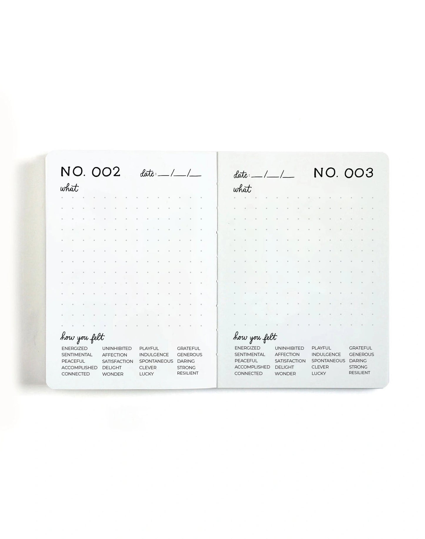 One Hundred Joys Mini Journal