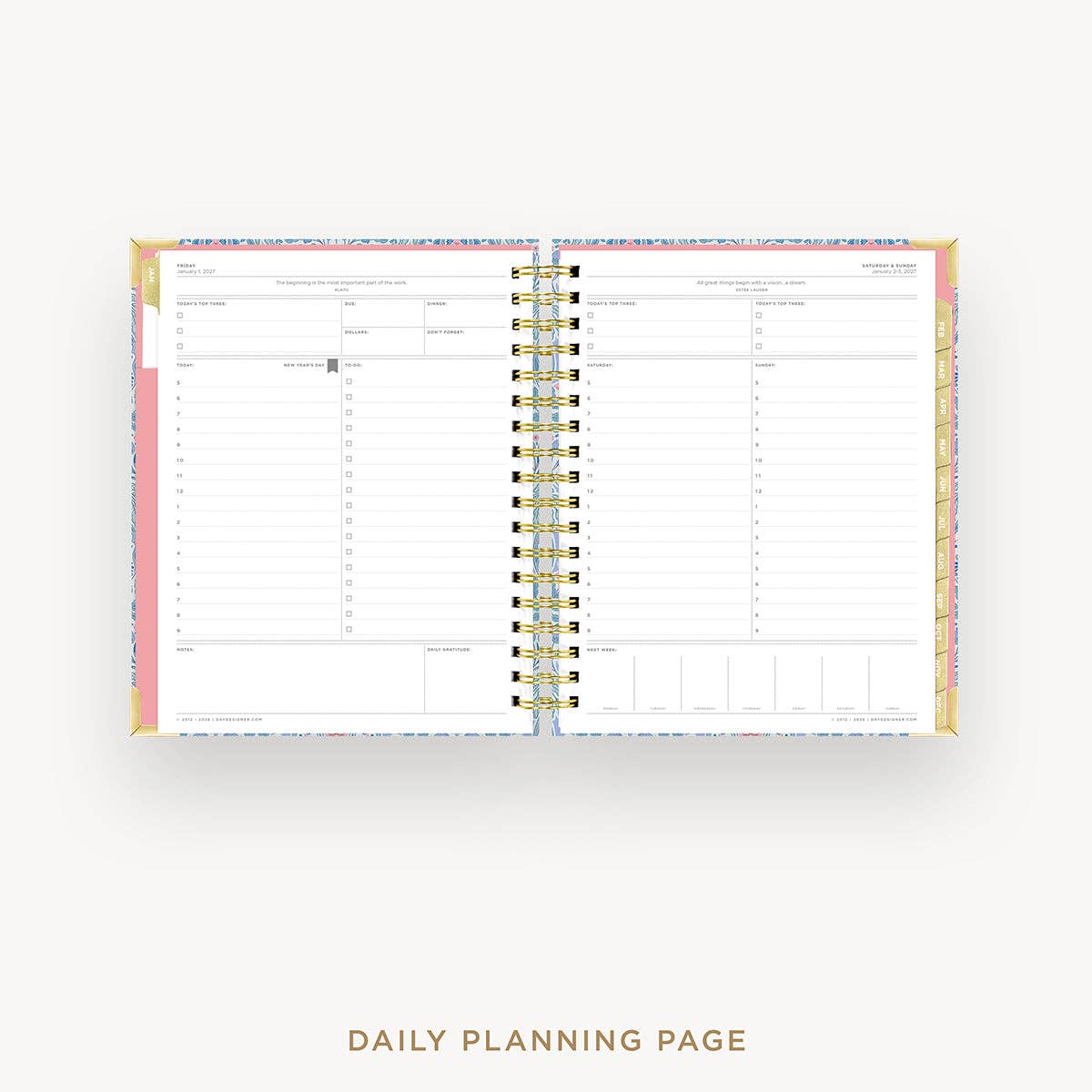 2027 Daily Planner: Olivia Damask