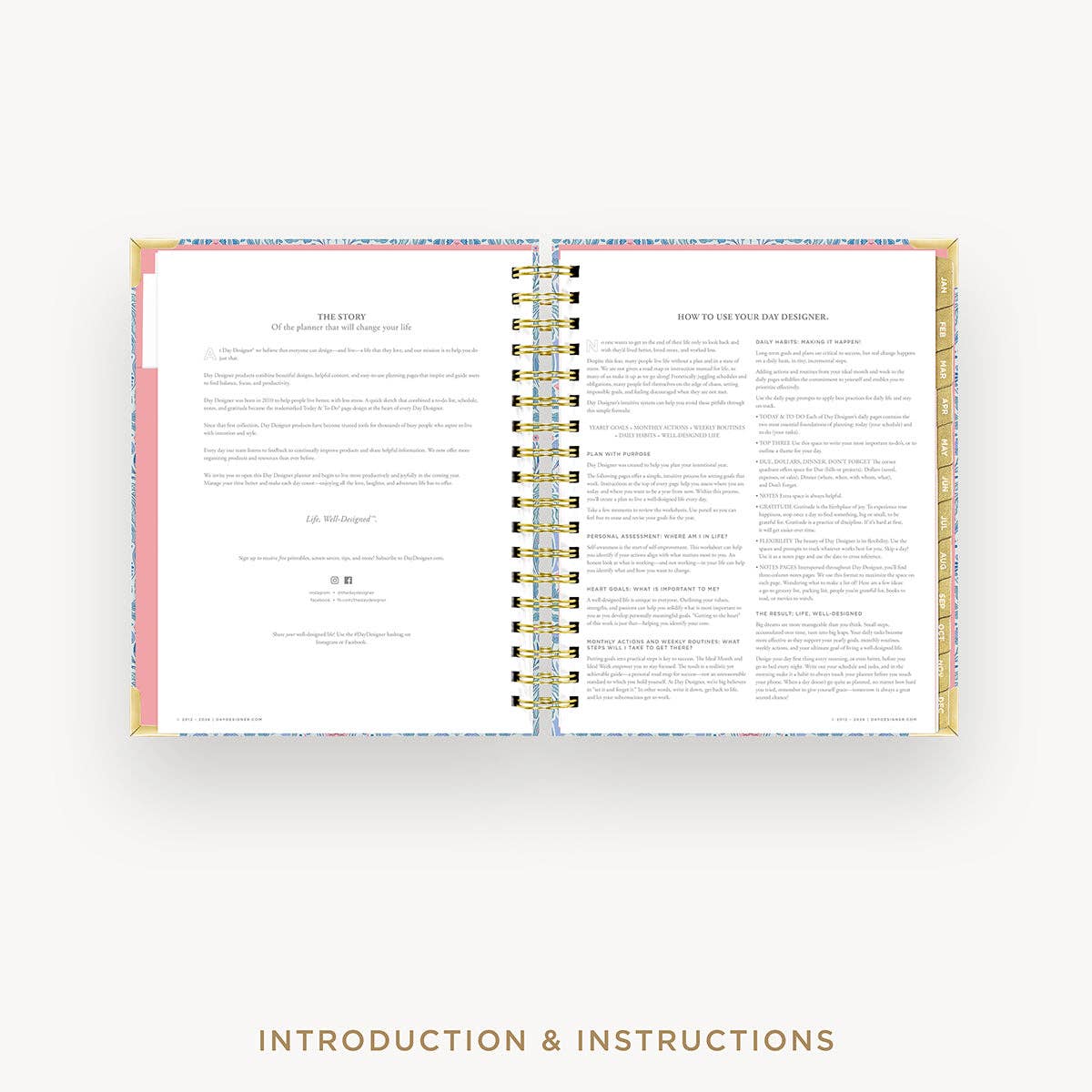 2027 Daily Planner: Olivia Damask