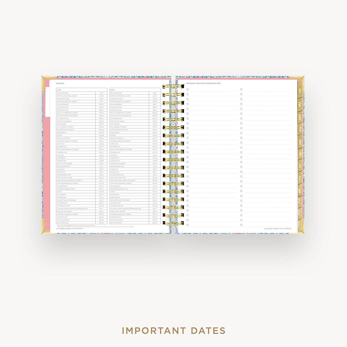 2027 Daily Planner: Olivia Damask